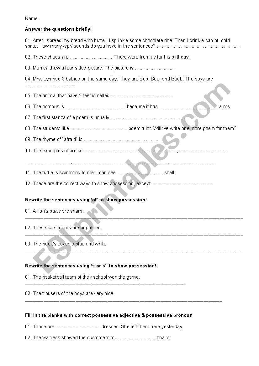 prefix and possession exercise