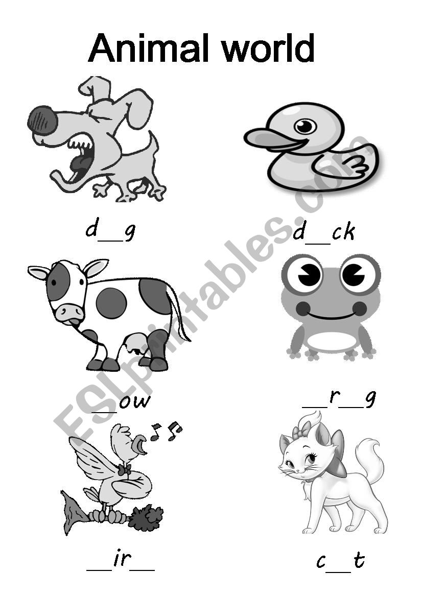 Animal world worksheet