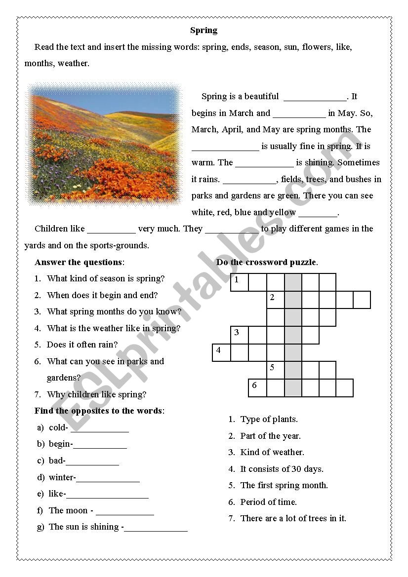 Spring worksheet