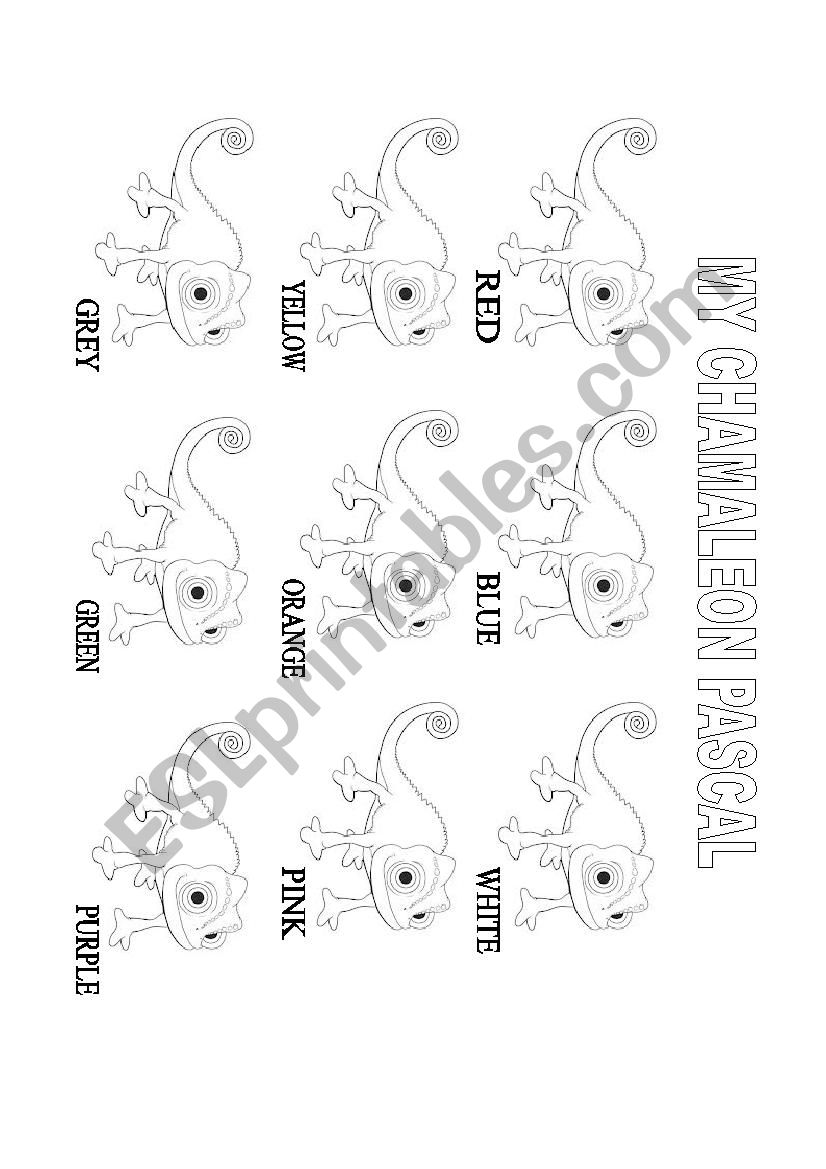 Colour My chamaleon Pascal worksheet