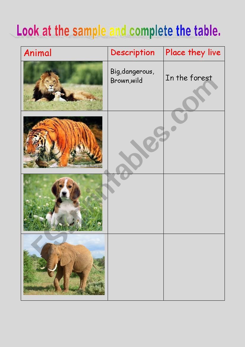 animal worksheet