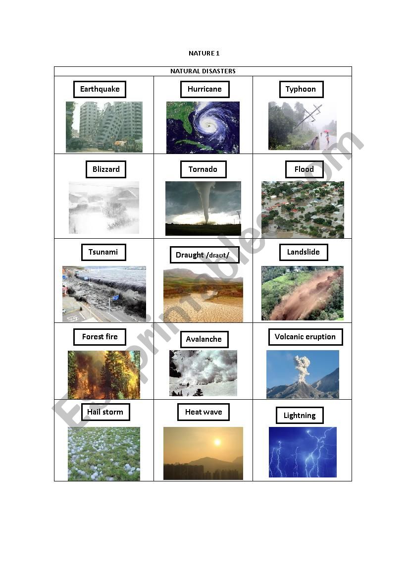 NATURE 1 worksheet