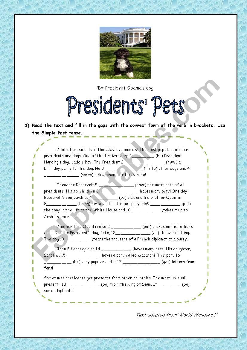  Presidents Pets ( Reading Comprehension)/ Simple Past