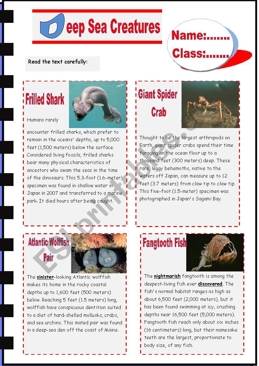 Deep Sea Creatures worksheet