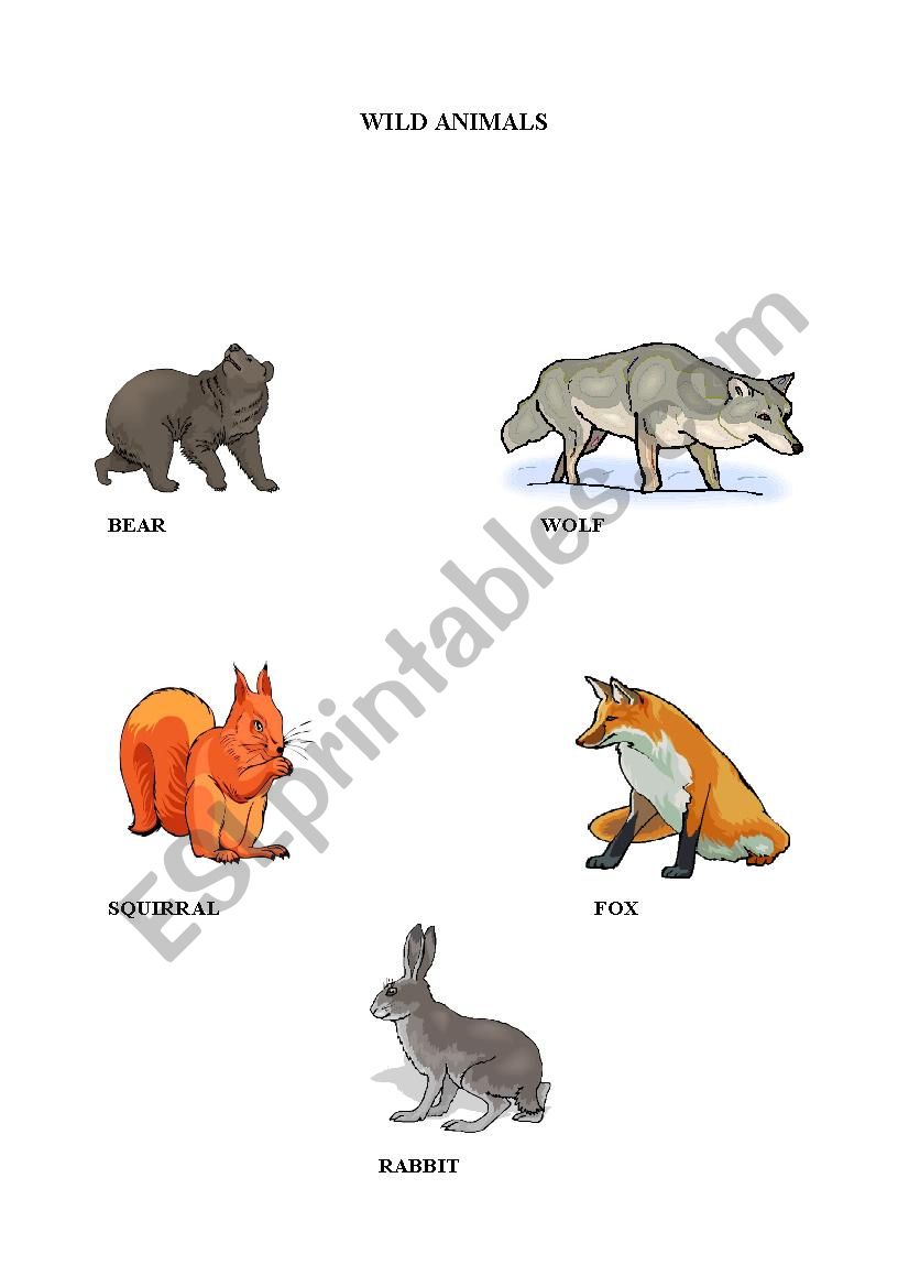 Wild animals worksheet