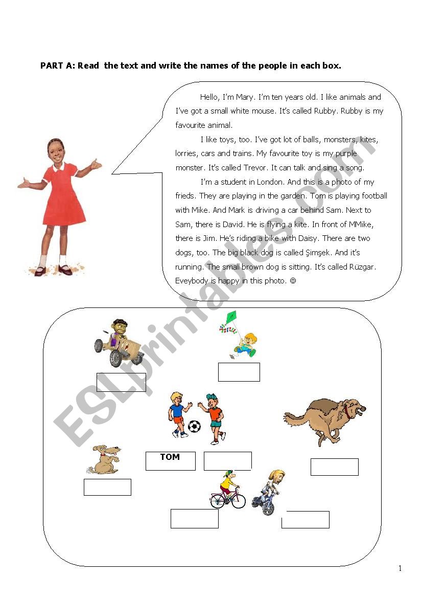 Present Continous Tense worksheet