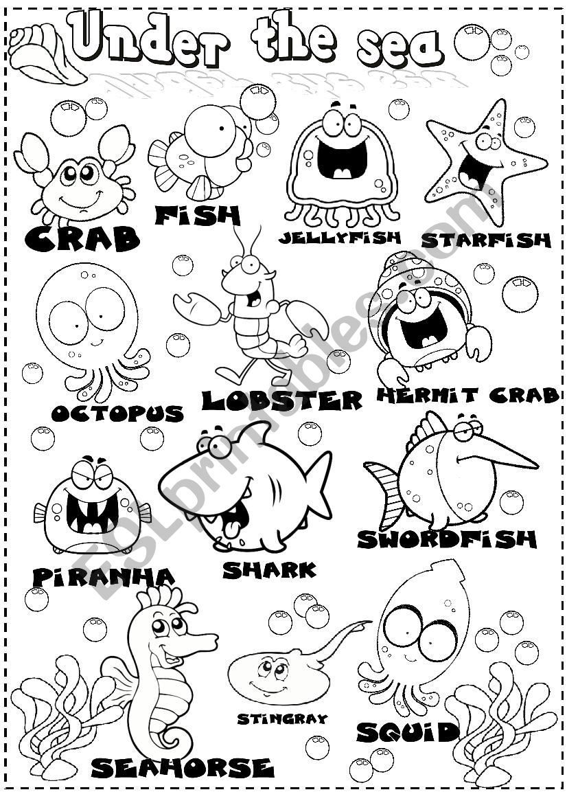 sea animals worksheet