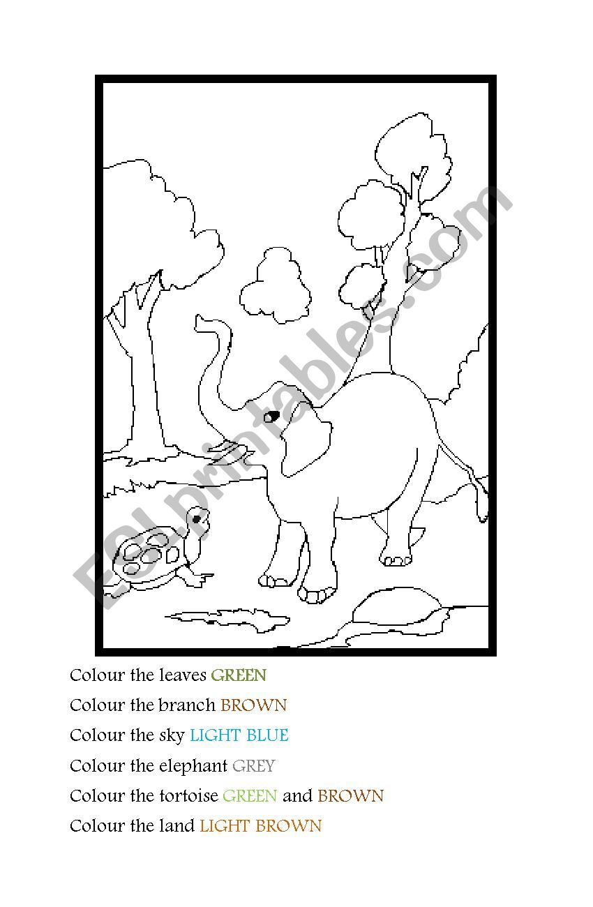 COLOURING THE ANIMALS AND VIEW