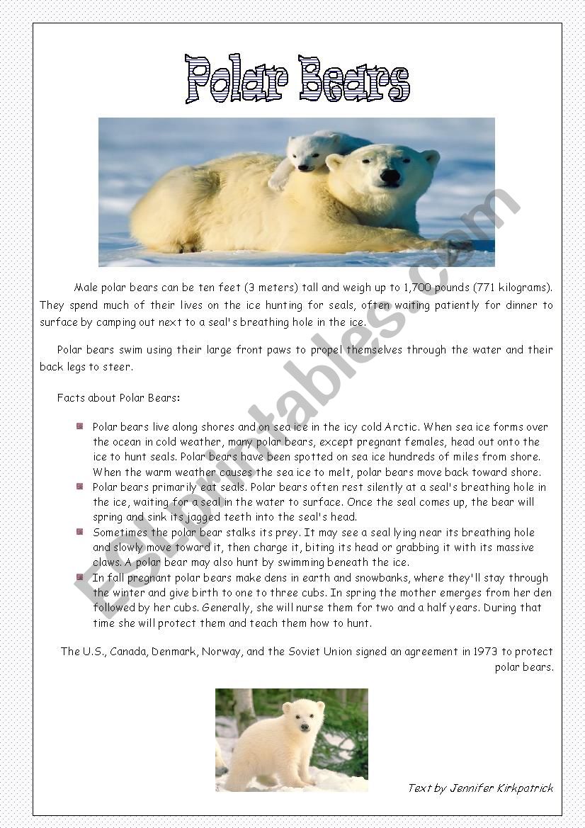 Polar Bears -Nice reading comprehension 