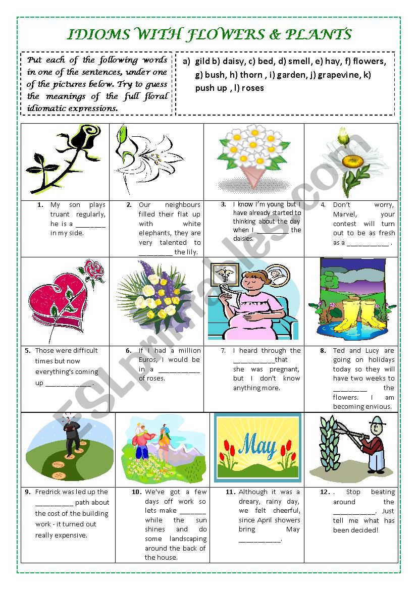 IDIOMS with FLOWERS & PLANTS (plus key and explanations)