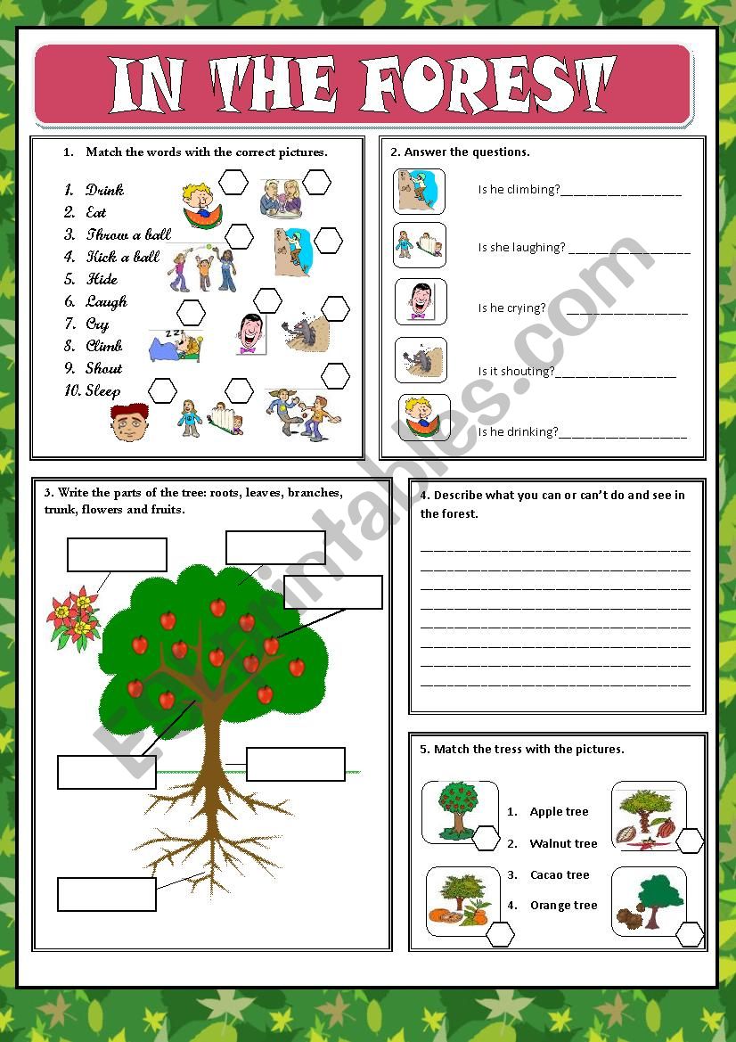 IN THE FOREST 2 worksheet