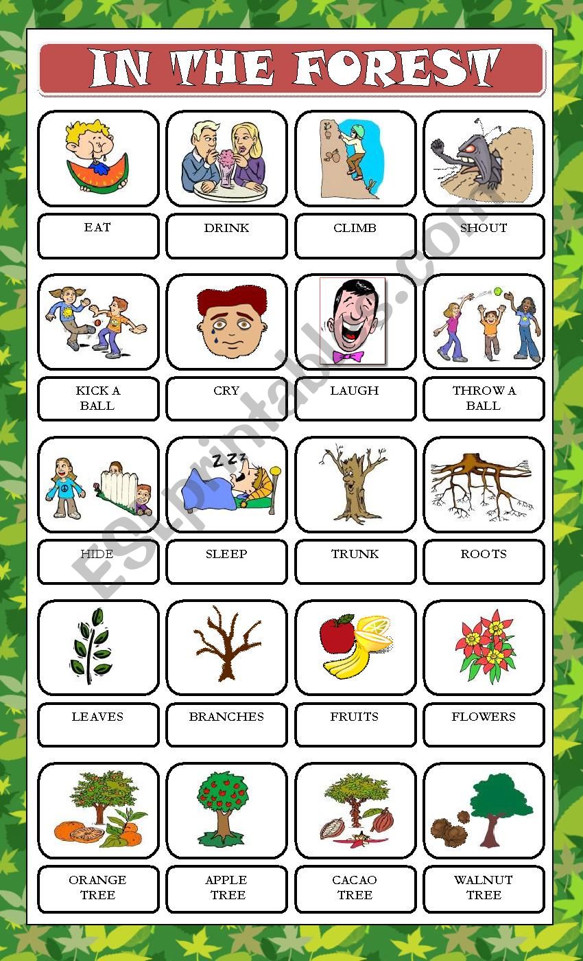IN THE FOREST 1 worksheet