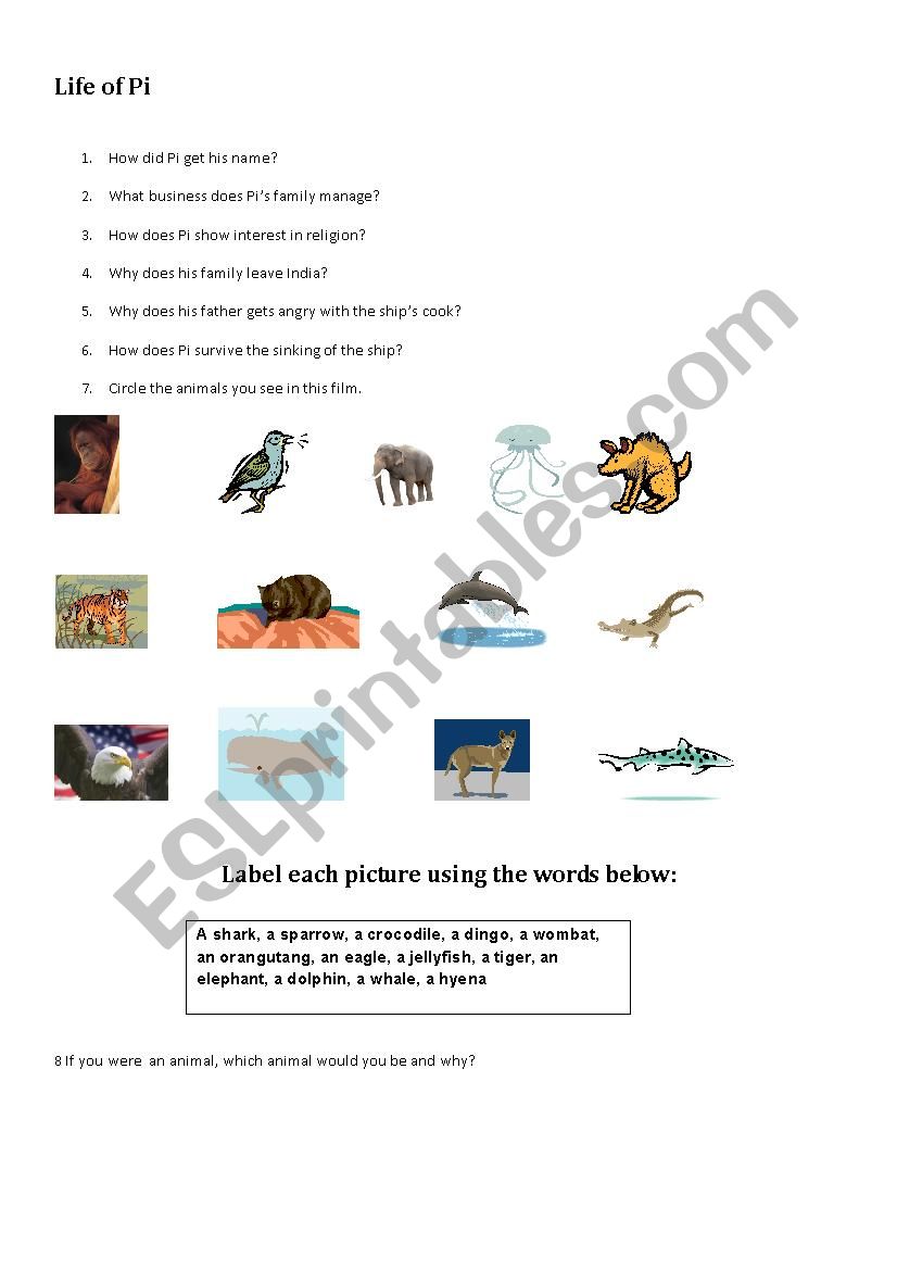 Life of Pi the film worksheet