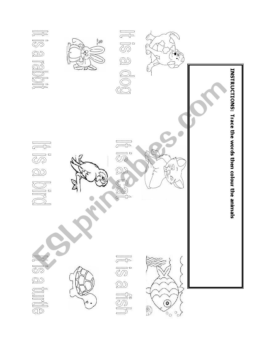 Pets Worksheet worksheet