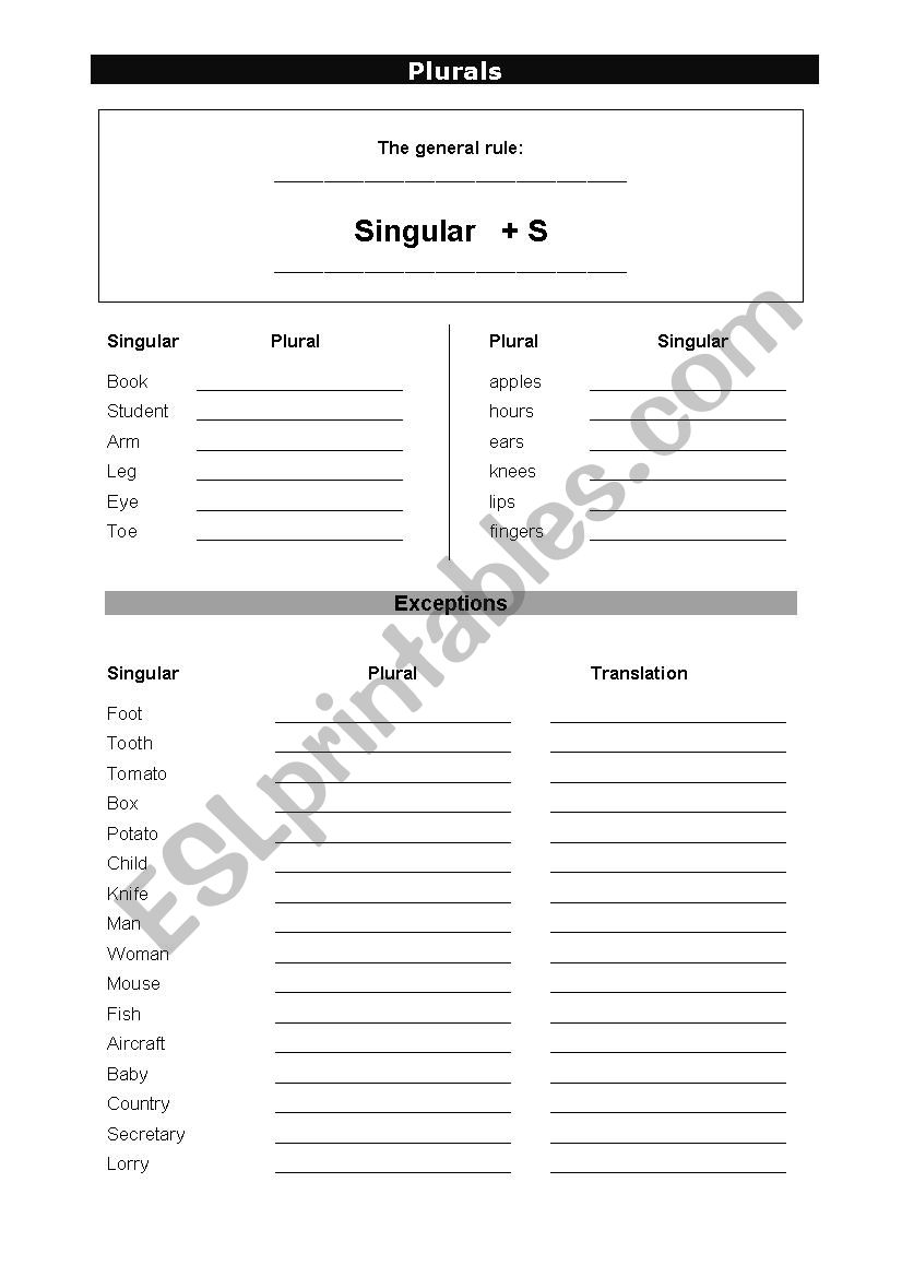 Plurals worksheet