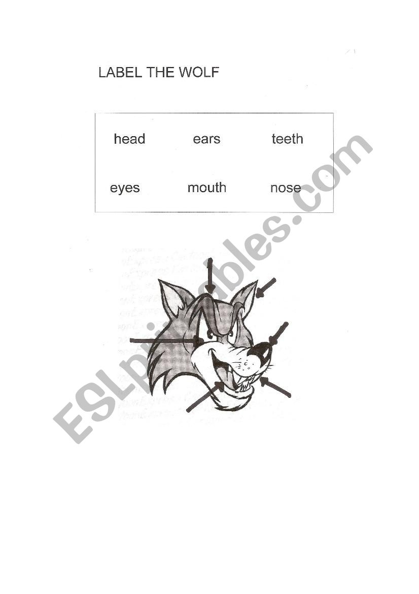 Label the wolf worksheet