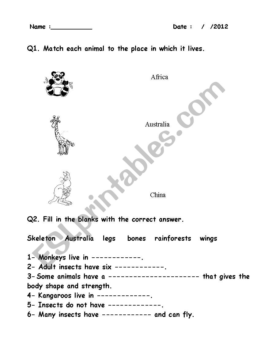 Animals  worksheet