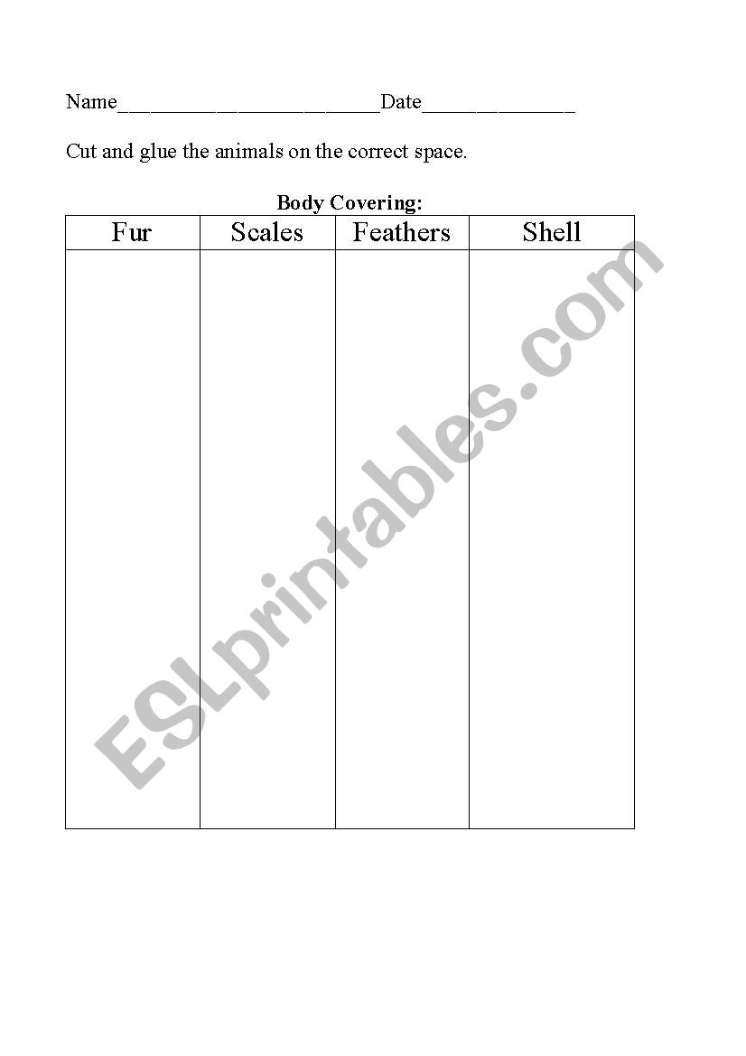 sorting: animal body covering worksheet sorting: animal body covering worksheet