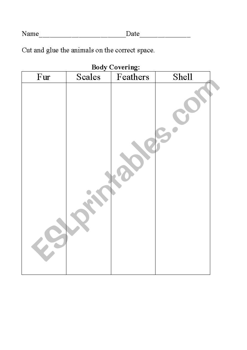 sorting: animal body covering worksheet