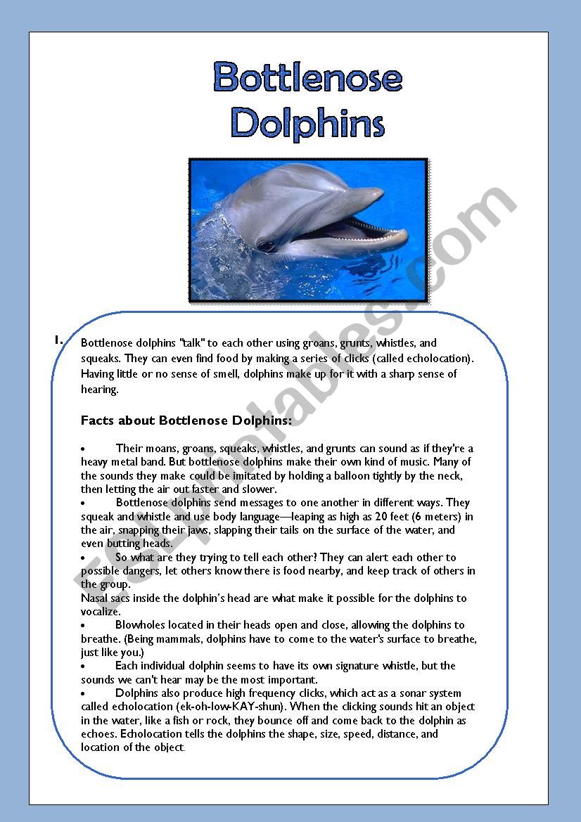 Bottlenose Dolphins- Reading Comprehension