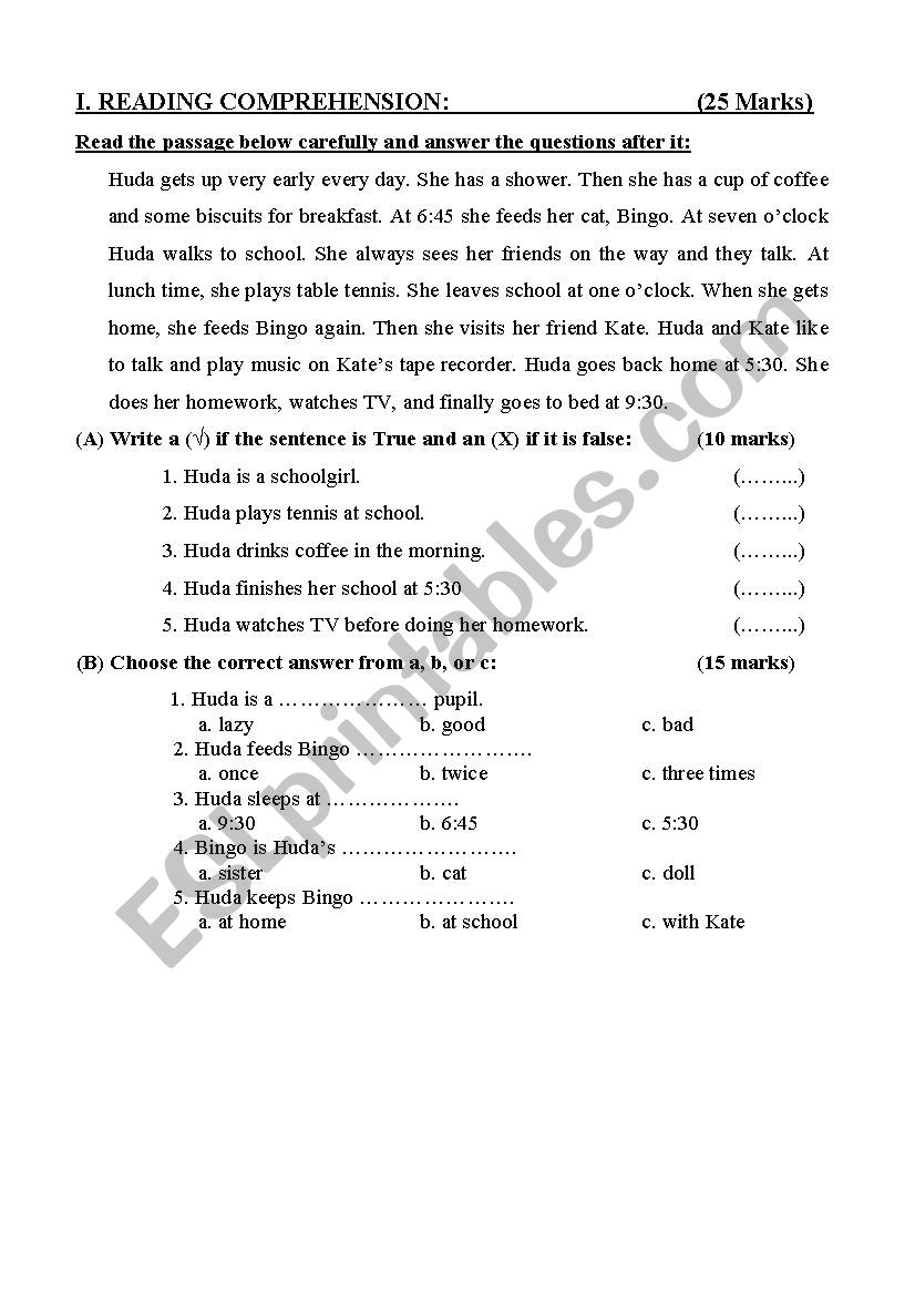 Daily Routine worksheet