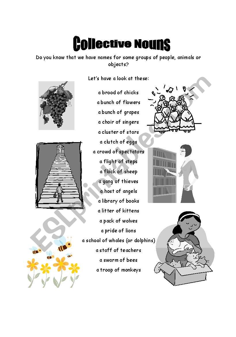 Collective nouns worksheet