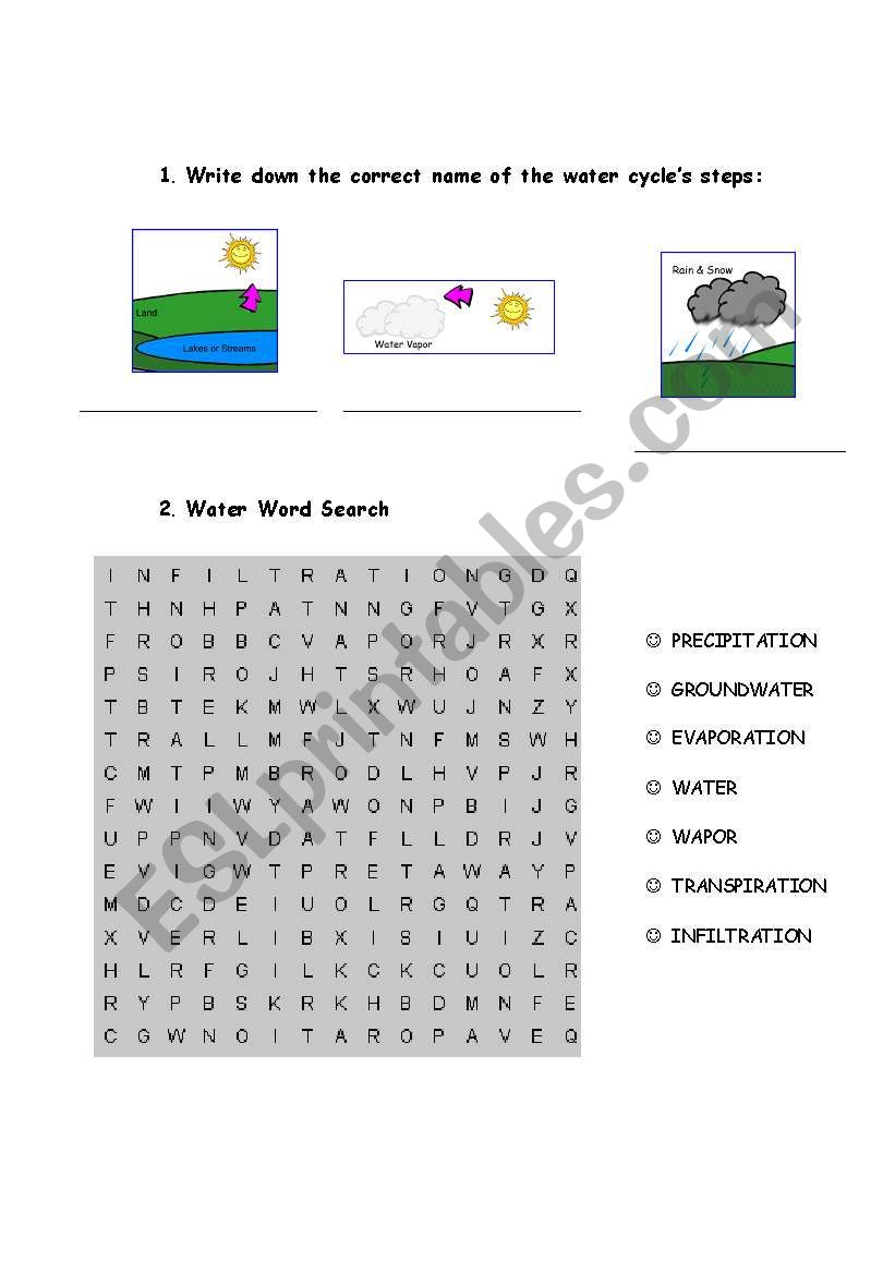 The water cycle worksheet