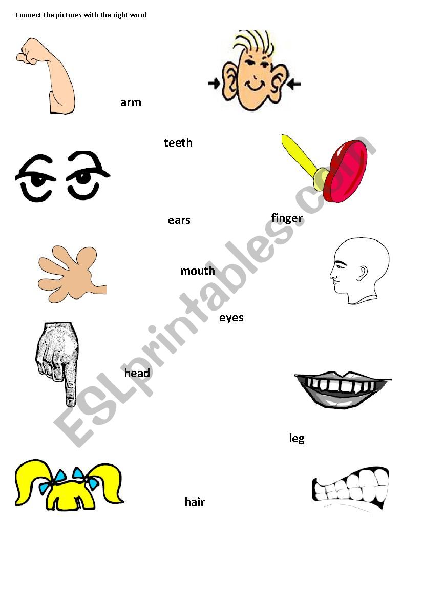 Body parts worksheet