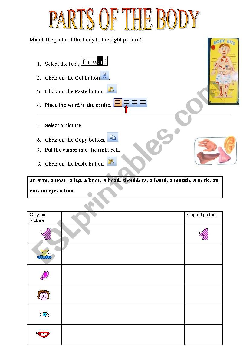 Parts of the body worksheet