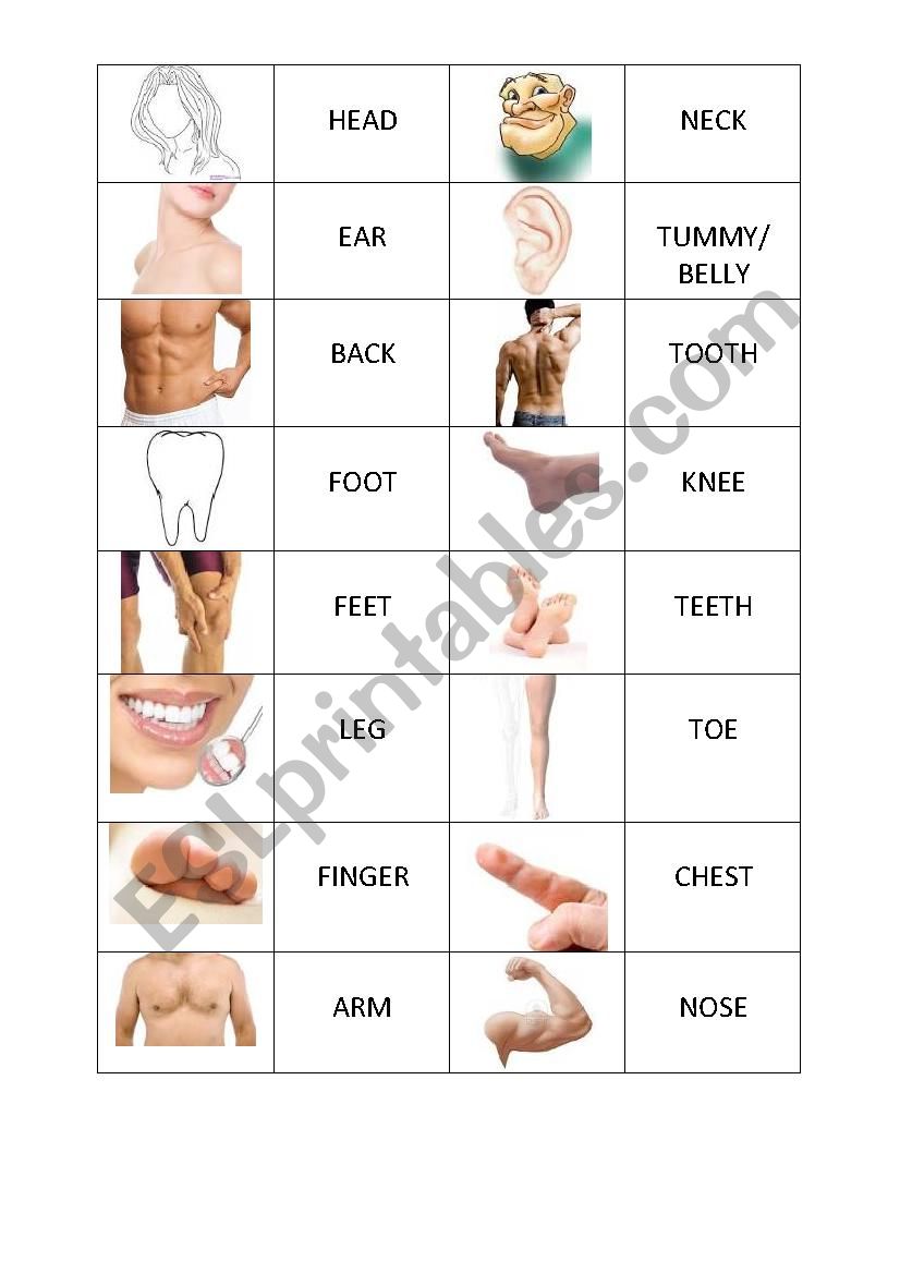 PARTS OF BODY  worksheet