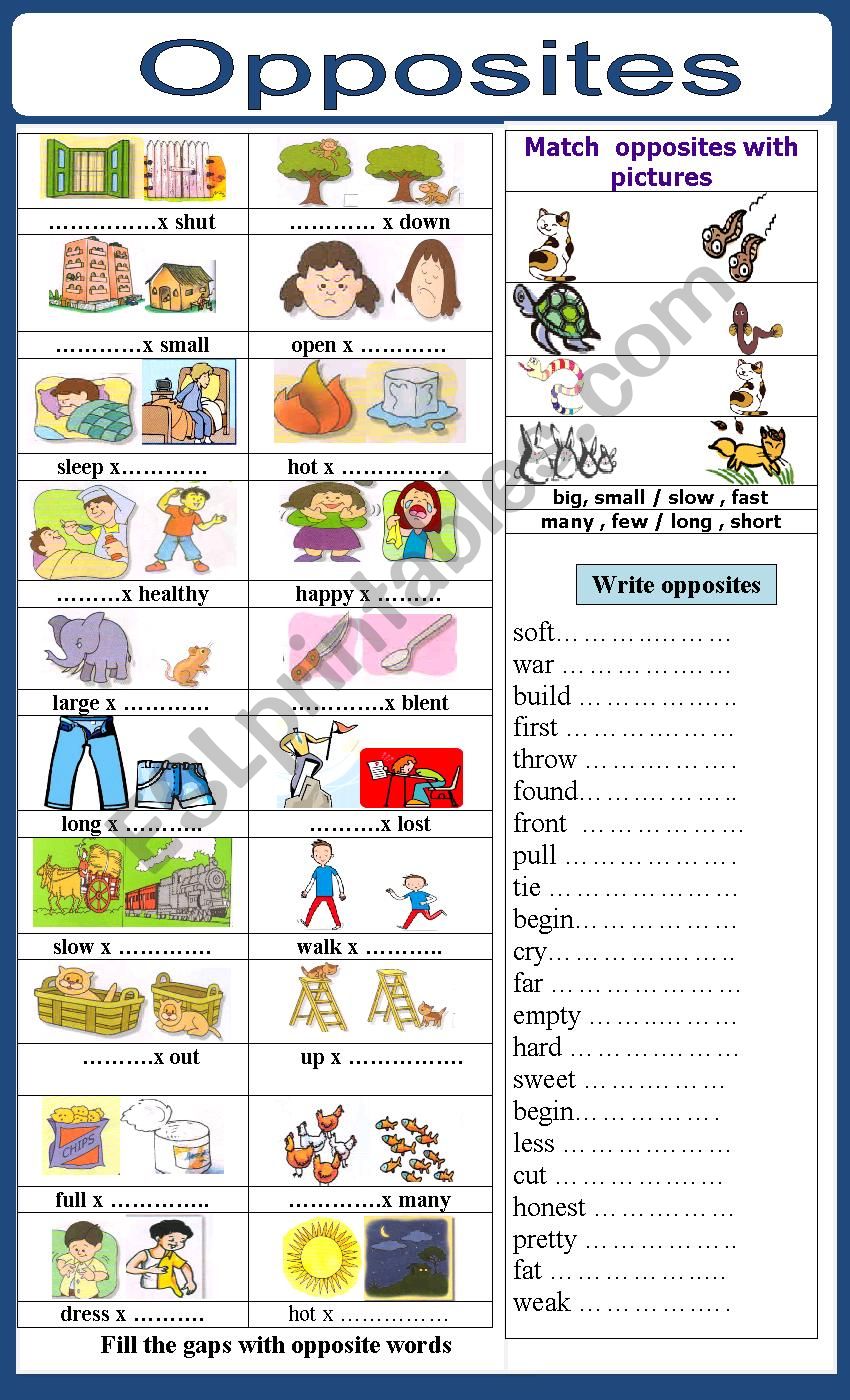 opposites worksheet