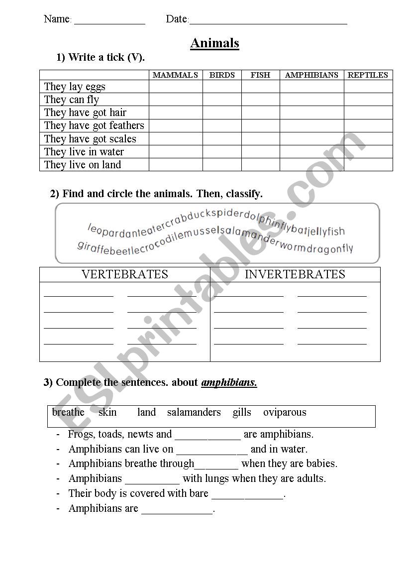 Primary test about animals. worksheet