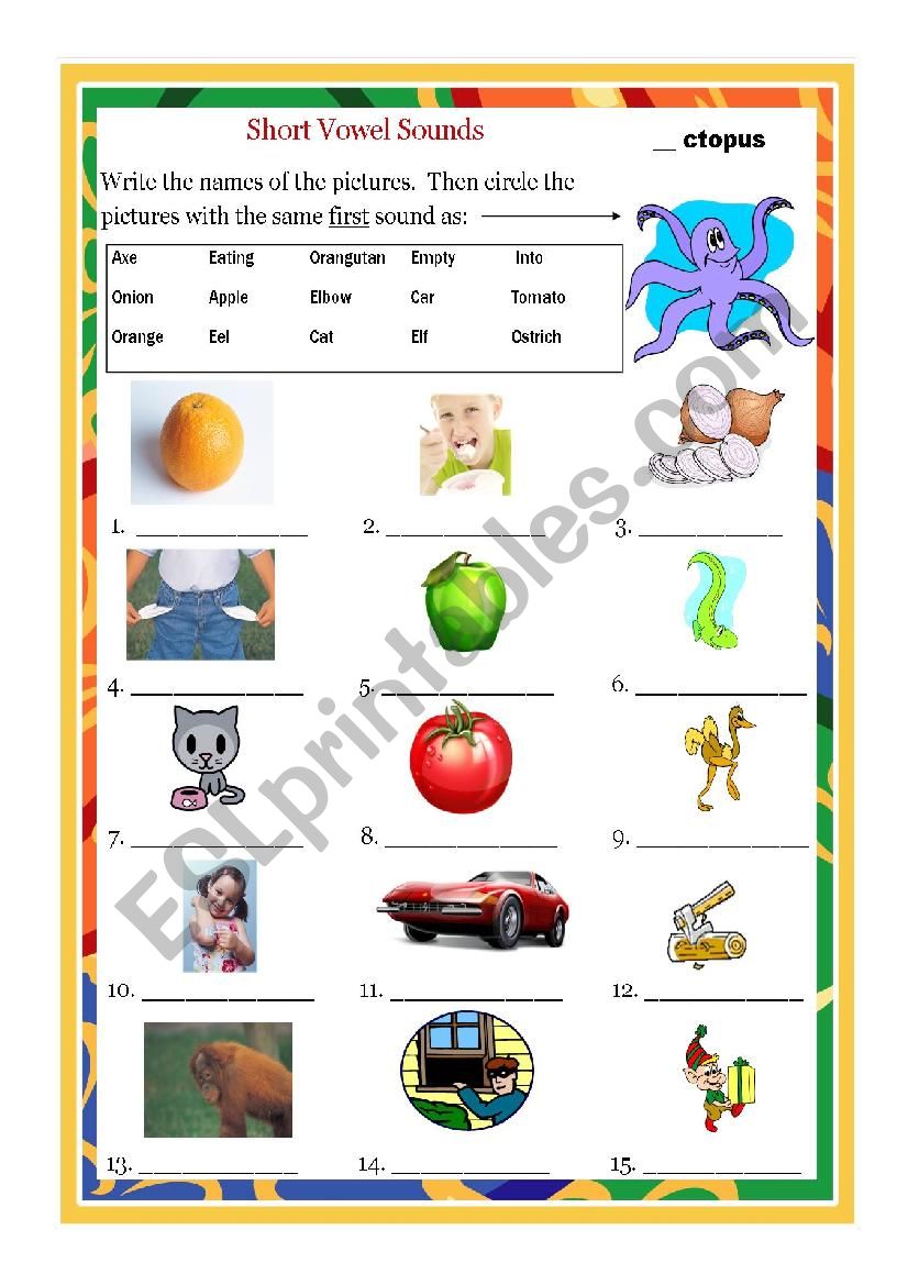 Short Vowel O worksheet