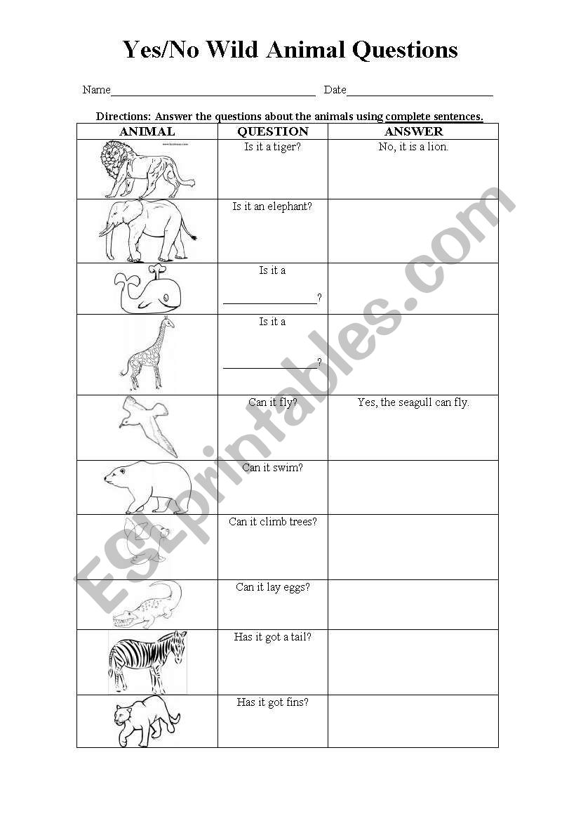 Wild Animal Questions worksheet