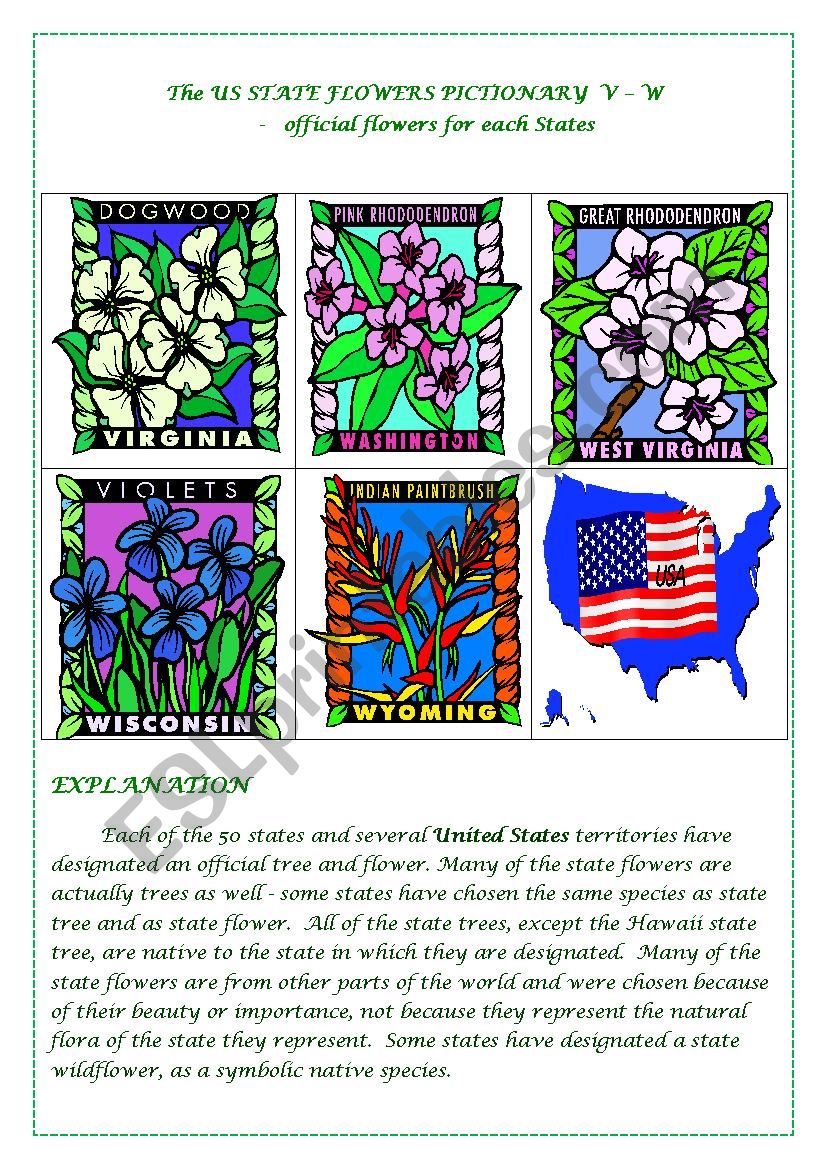 The US STATE FLOWERS PICTIONARY  V - W
