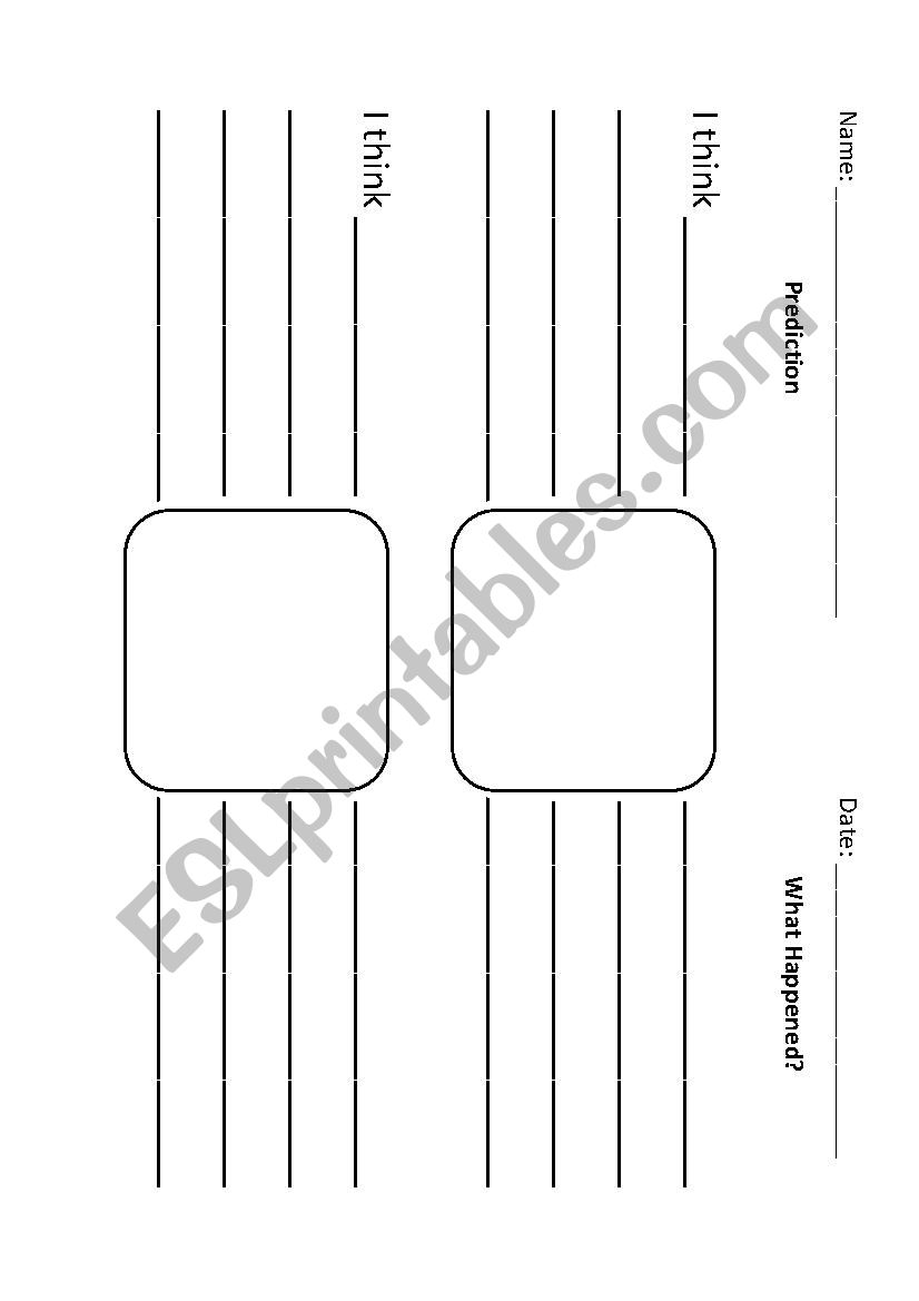 Prediction and What Happened worksheet