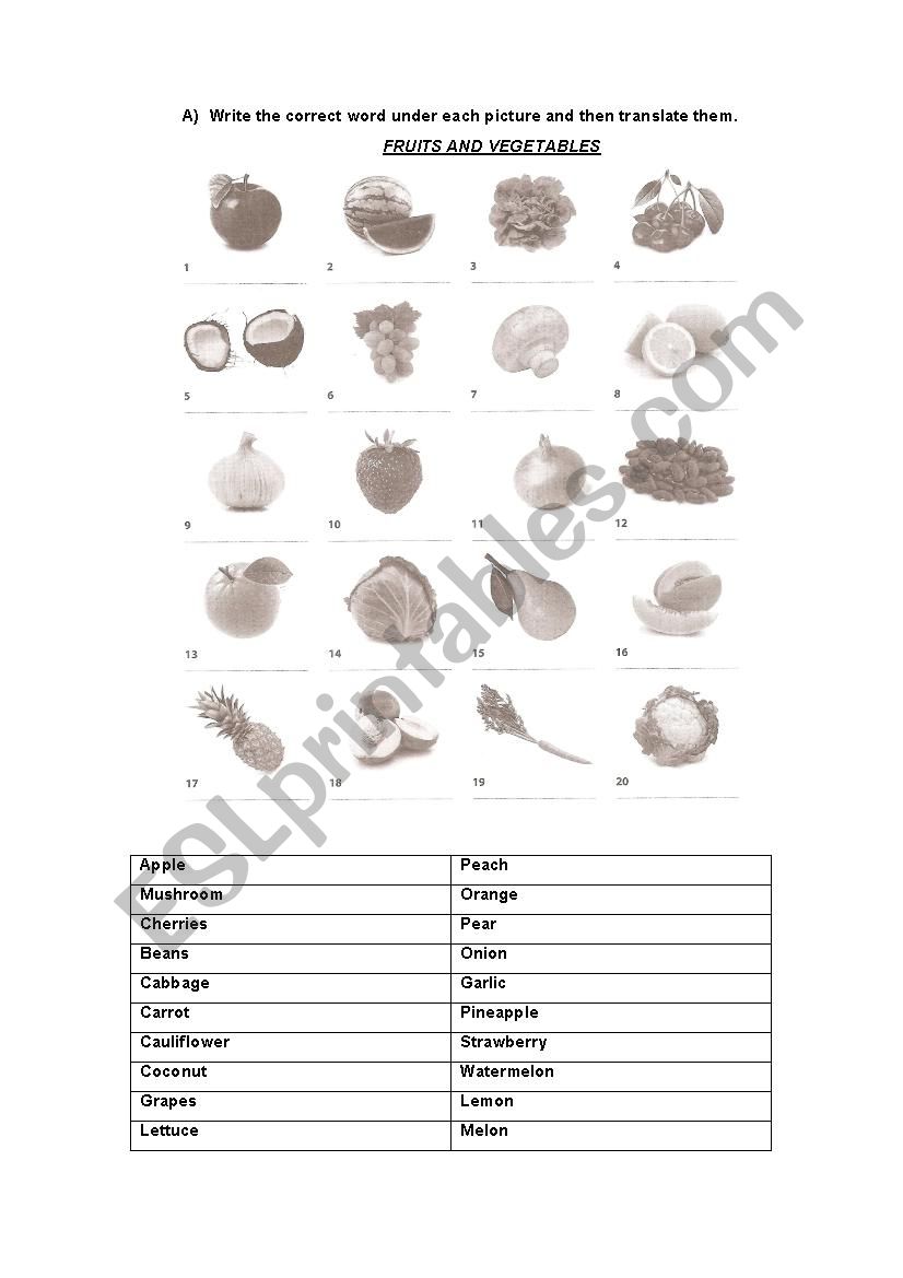 Food and meals worksheet