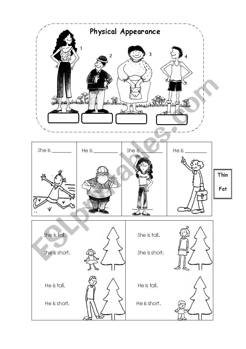 Physical appereance worksheet