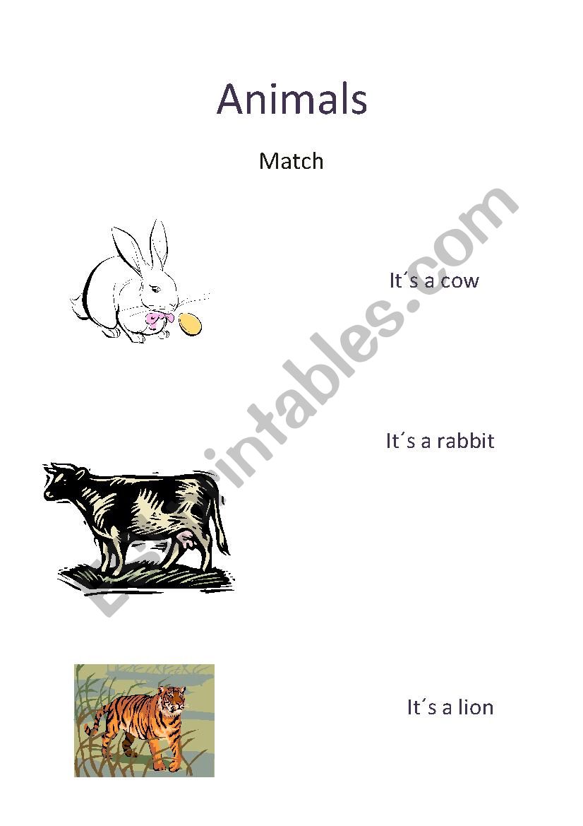 animals worksheet