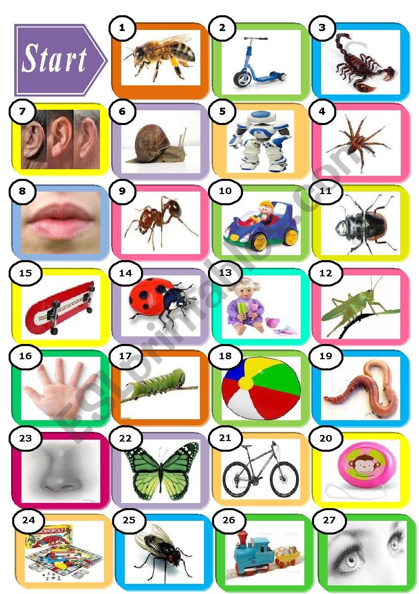 Bugs World 1 - parts of body, animals and toys