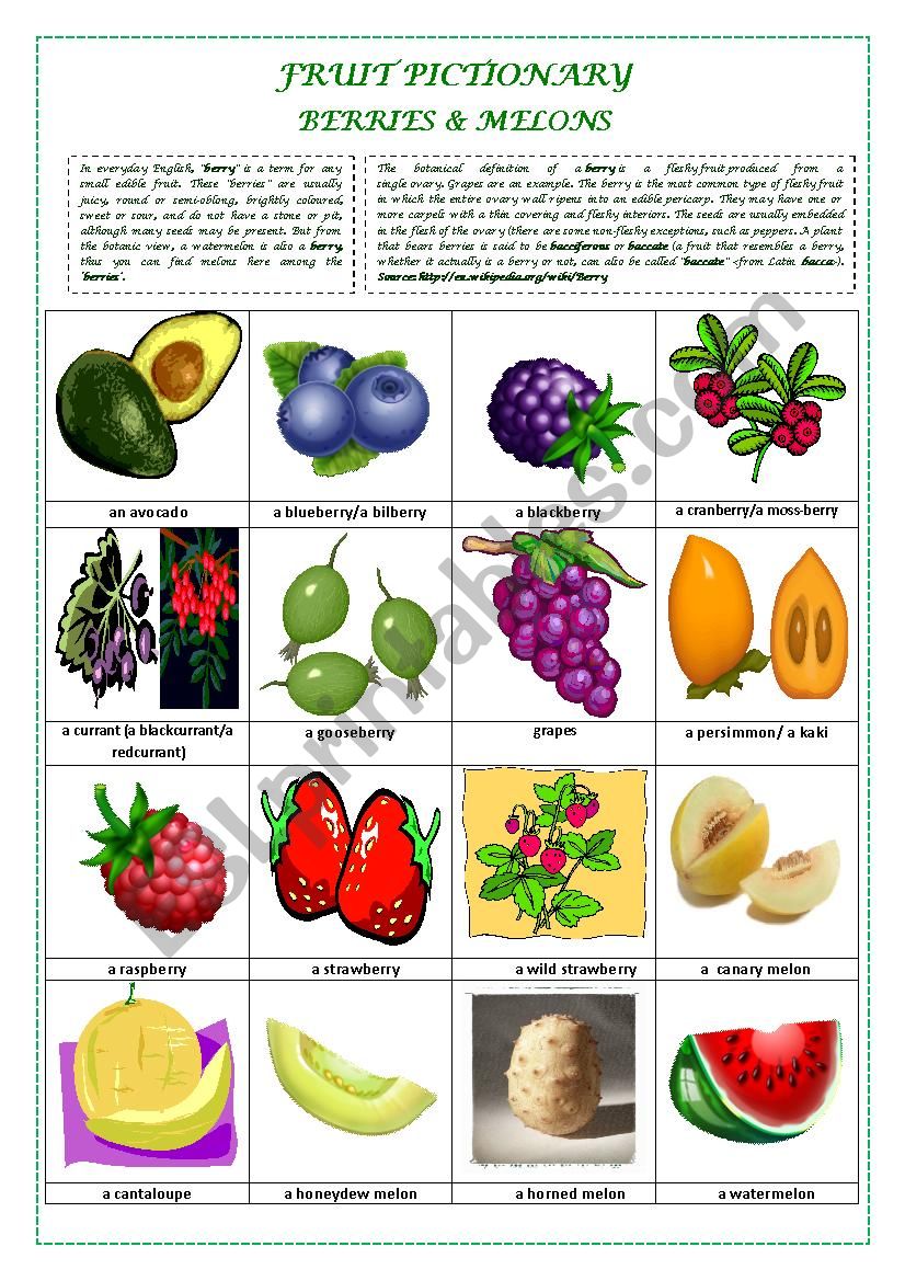 FRUIT PICTIONARY (part 1 BERRIES AND MELONS)