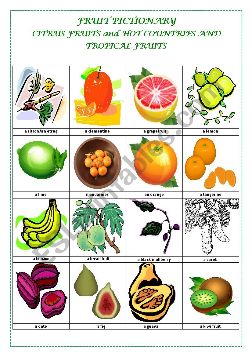 FRUIT PICTIONARY (part 2 CITRUS FRUITS AND TROPICAL & HOT COUNTRIES FRUITS) )