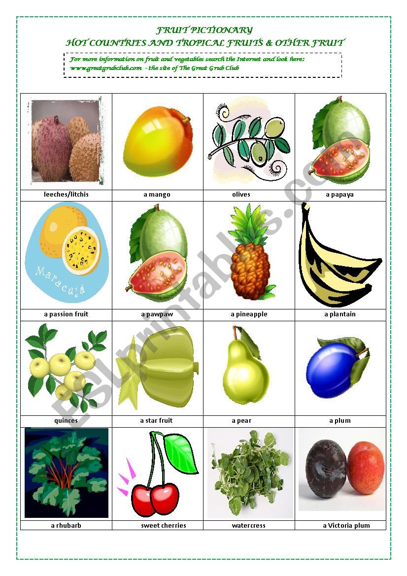 FRUIT PICTIONARY (part 3  HOT COUNTRIES & TROPICAL FRUITS and OTHER FRUIT) )