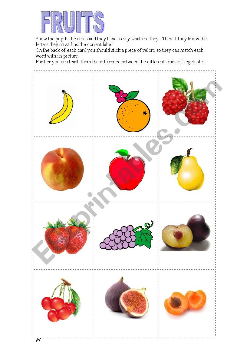 Fruits VS vegetables worksheet
