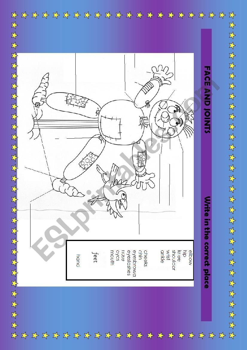 body parts( face and joints) worksheet