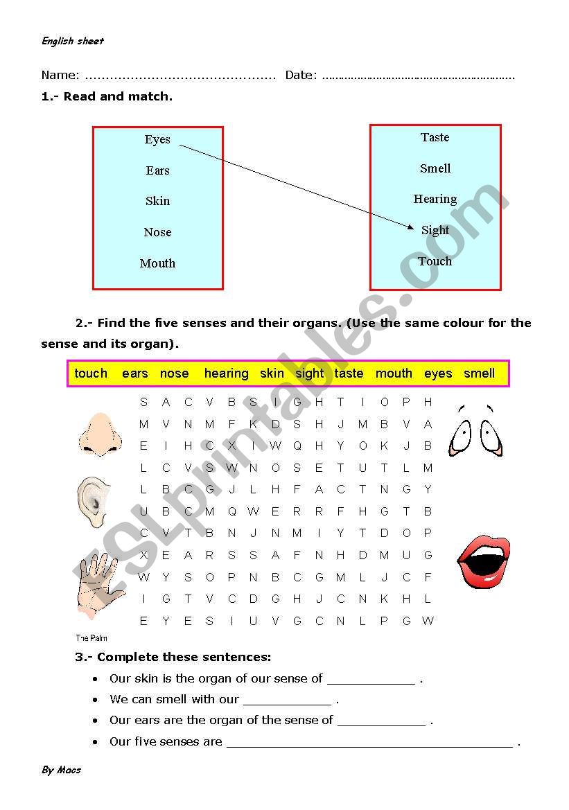 OUR FIVE SENSES worksheet