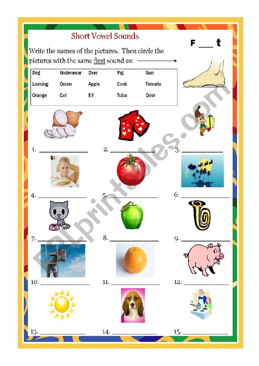 Short Vowel OO worksheet