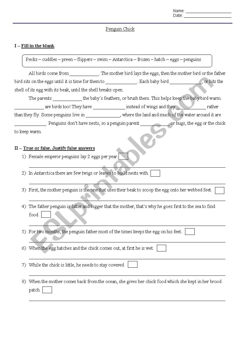 Reading Street: Penguin Chick worksheet