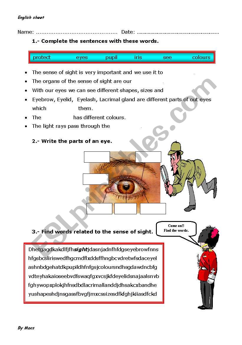 OUR FIVE SENSES worksheet