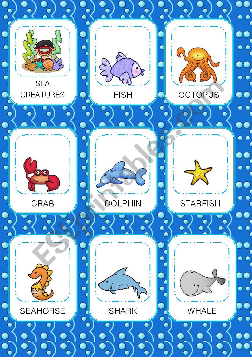 Sea creatures Flashcards worksheet